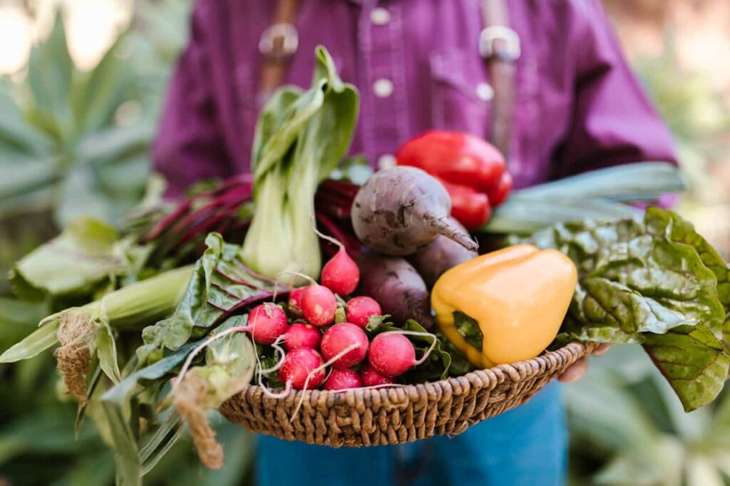 organic vegetables