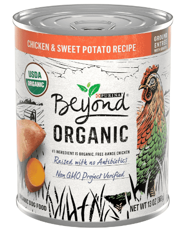 Purina Beyond Organic Chicken & Sweet Potato Wet Dog Food 