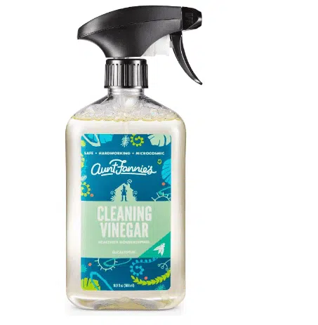 A Bottle of Aunt Fannie's Cleaning Vinegar