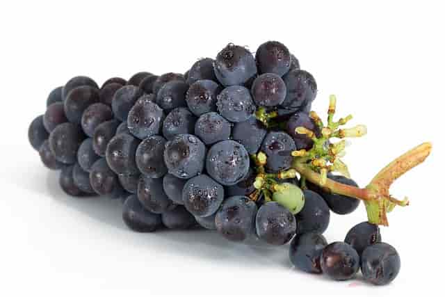 organic grapes