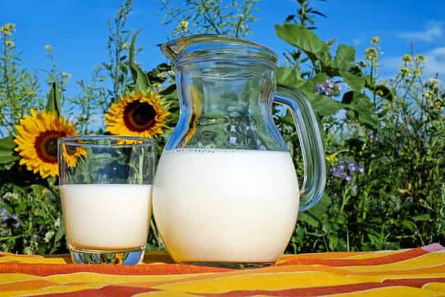 organic oat milk in glass jar