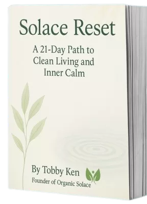 Solace Reset (Ebook)
